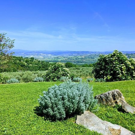 podere prataccio Grosseto Exterior foto