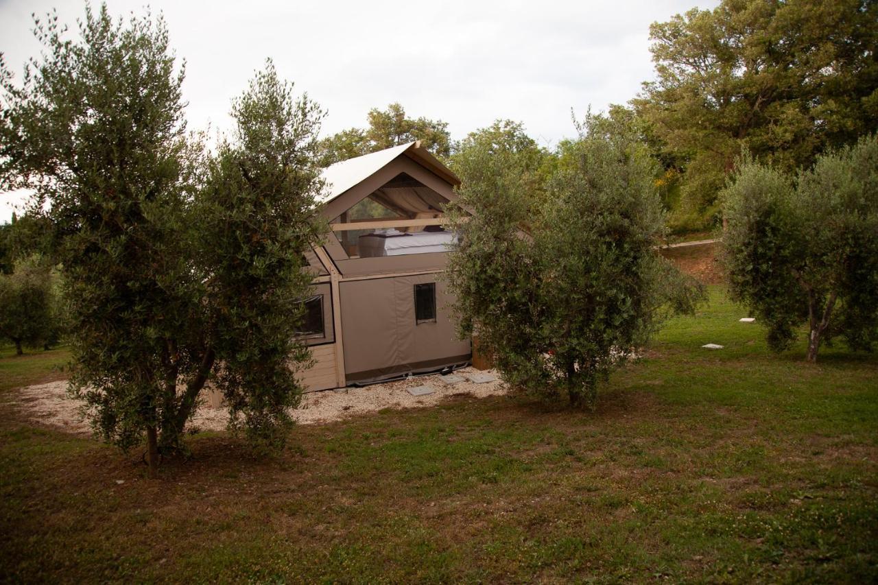 podere prataccio Grosseto Exterior foto
